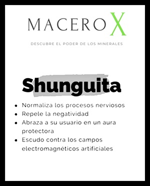shunguita-20230203-20230203